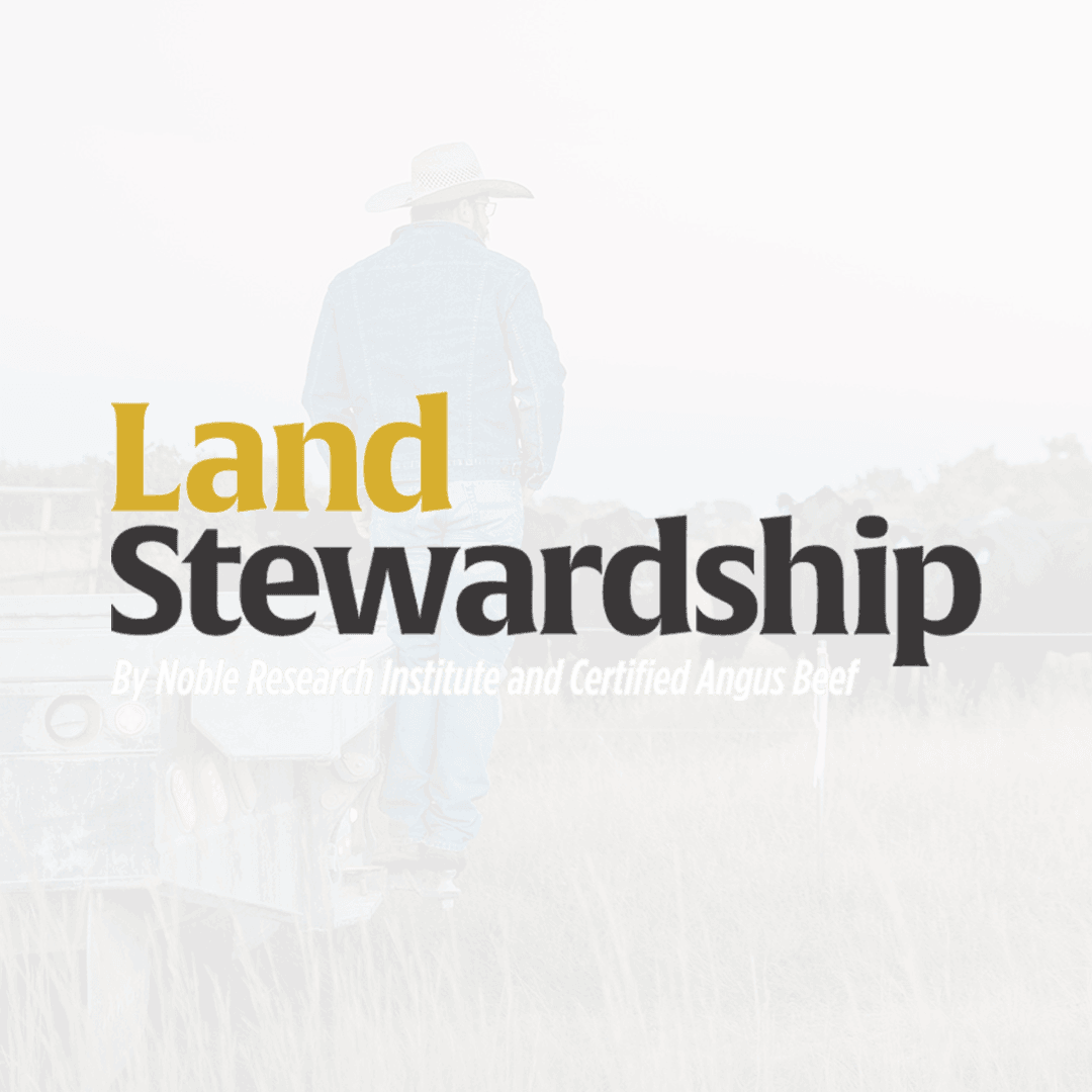 land-stewardship-1.png