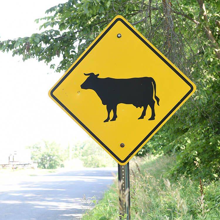 Trowbridge Angus Cattle Sign