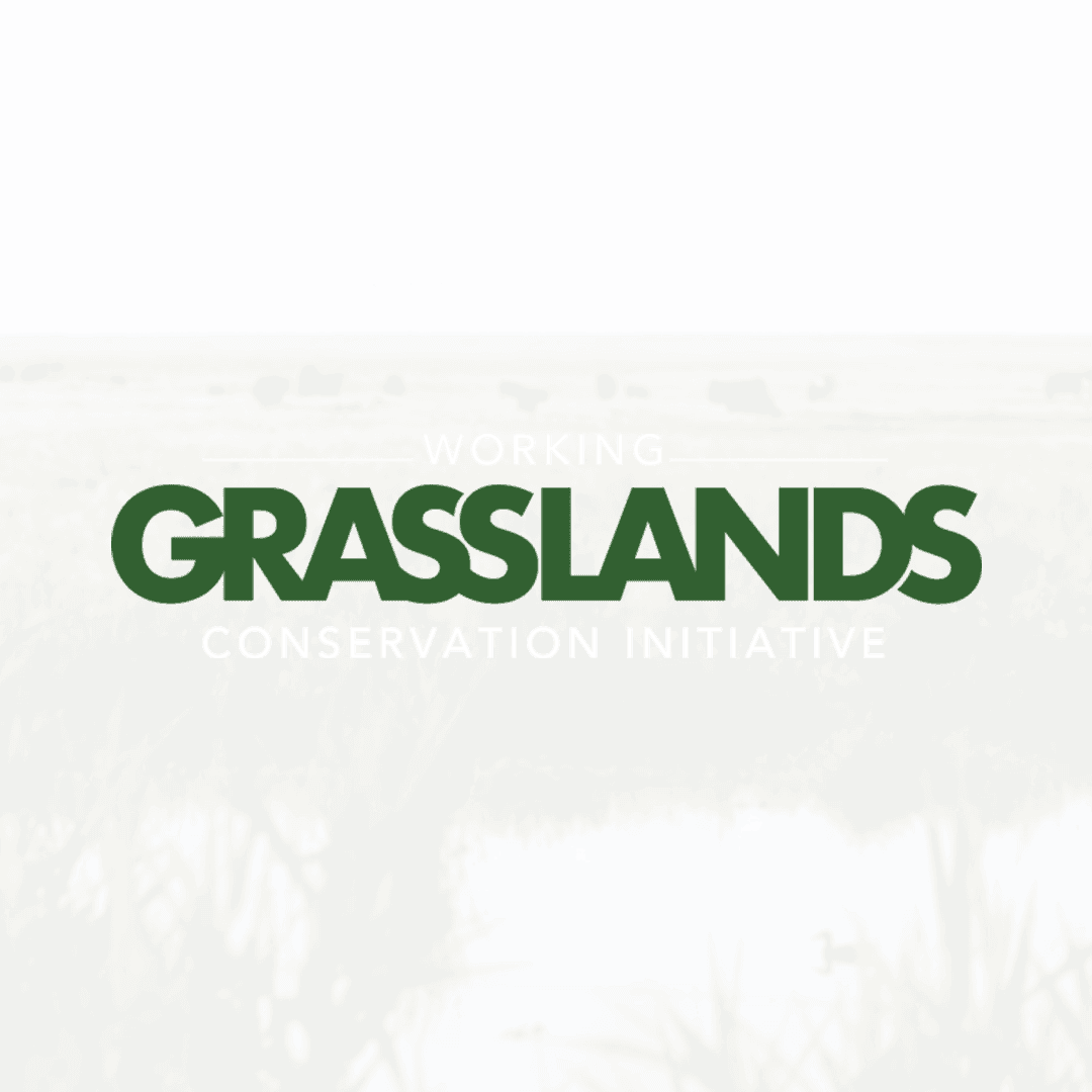 working-grasslands-1.png