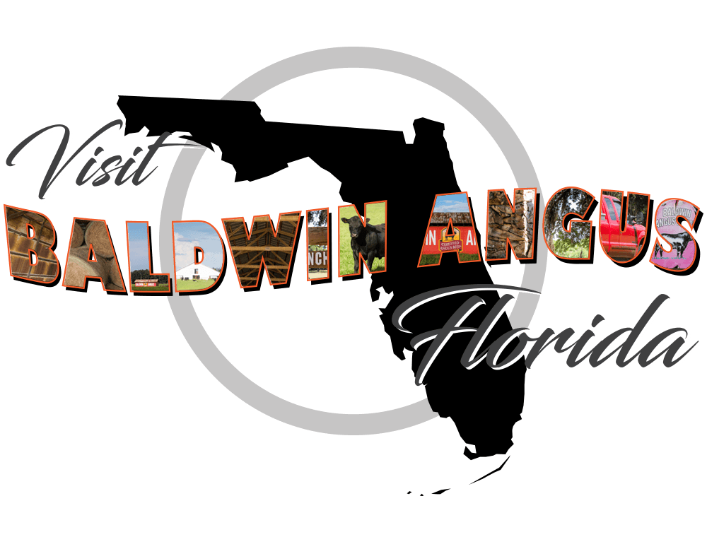 Baldwin Angus