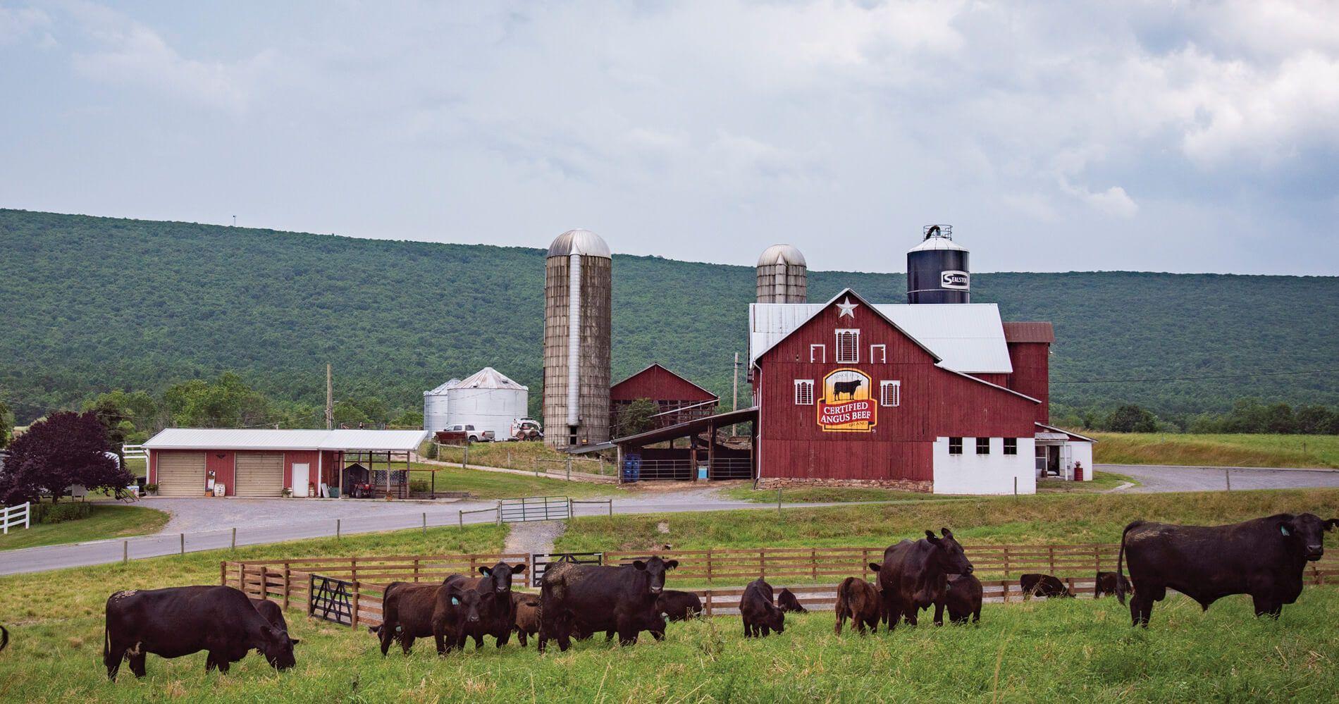 Ulrich Farms
